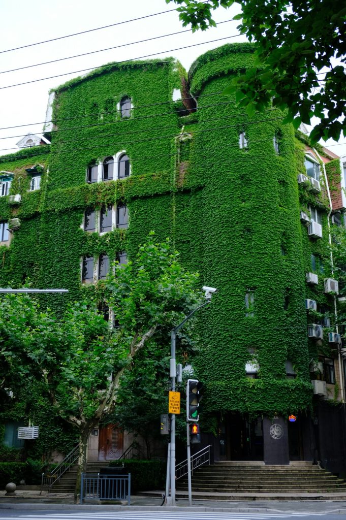 a building with ivy on it
